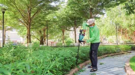 gardener